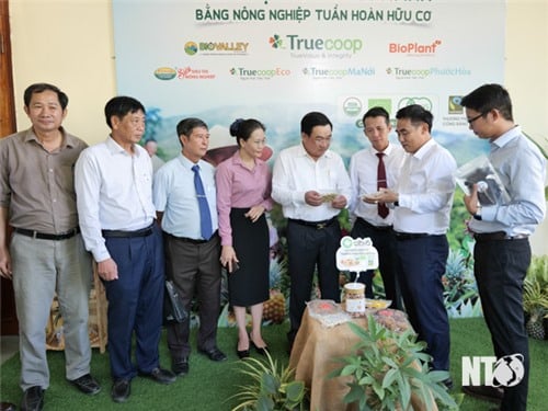 Hội thảo định hướng phát triển sản xuất nông nghiệp huyện Ninh Sơn đến năm 2030, tầm nhìn đến năm 2045