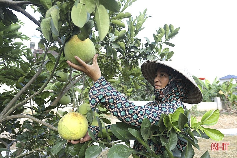 Xây dựng nông thôn mới nâng cao ở xã khó khăn nhất huyện Can Lộc