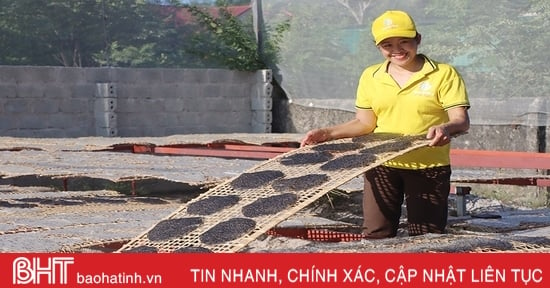 “Bà đỡ” cho phụ nữ xứ Cẩm khởi nghiệp