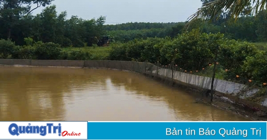 Teich mit 2.000 Weichschildkröten brach zusammen und verursachte Schäden in Höhe von Hunderten Millionen Dong