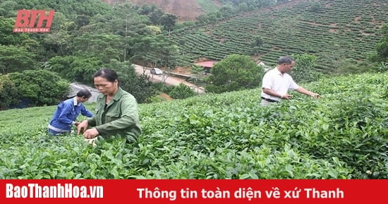 Giữ vững vai trò trụ đỡ nền kinh tế