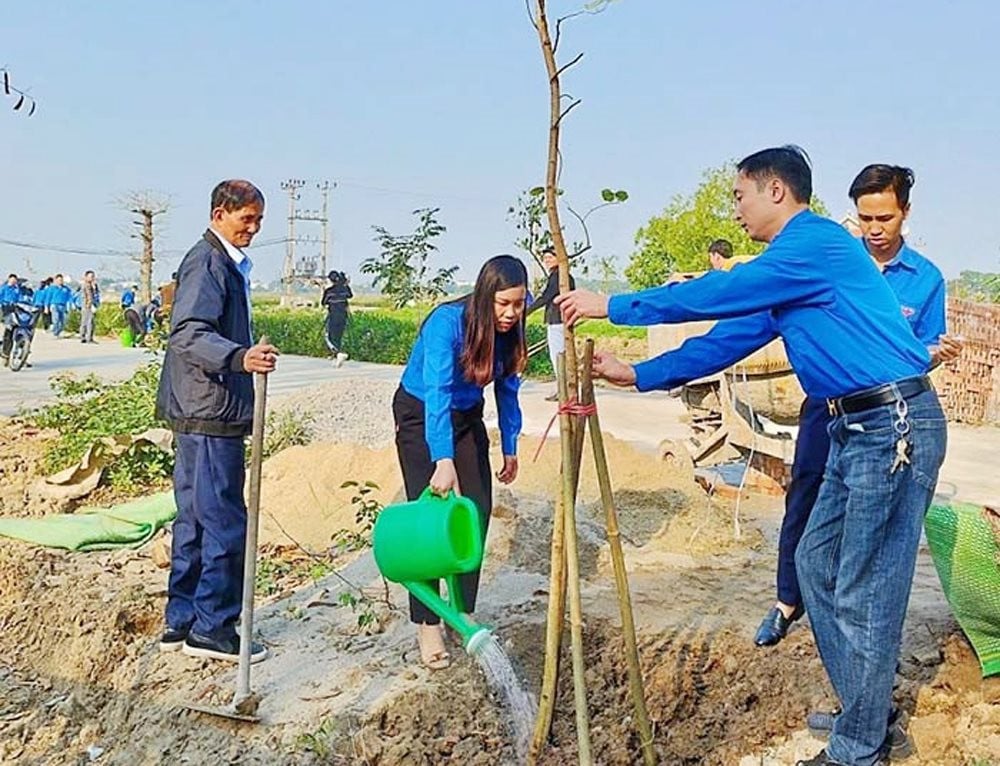 Hải Dương tổ chức phát động Tết trồng cây xuân Giáp Thìn sớm hơn dự kiến