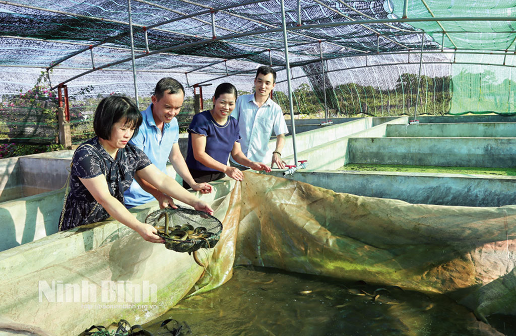 Đổi mới sáng tạo thông qua phát triển các mô hình nông nghiệp đa giá trị