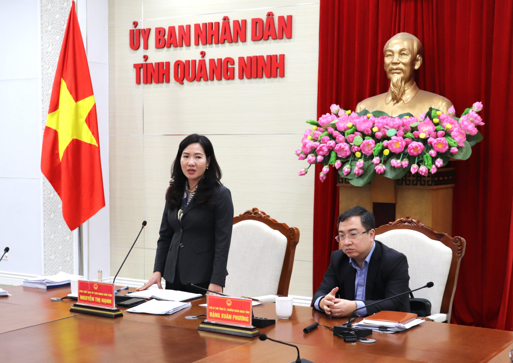 Comrade Nguyen Thi Hanh, Vice Chairman of the Provincial People's Committee, gave a speech at the meeting.