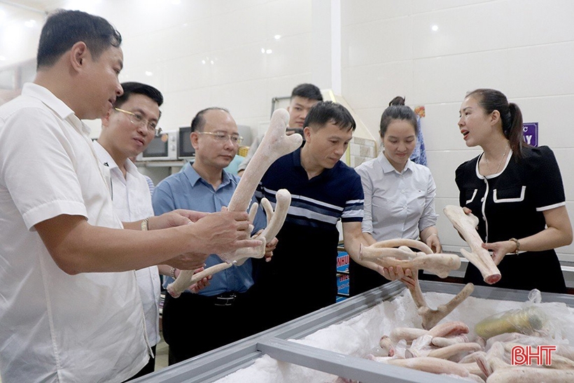 Une délégation de Tuyen Quang visite une nouvelle zone rurale à Huong Son