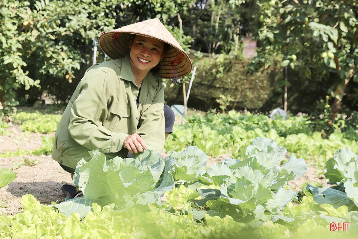 Grenzgemeinde Ha Tinh prosperiert dank neuer ländlicher Gebiete