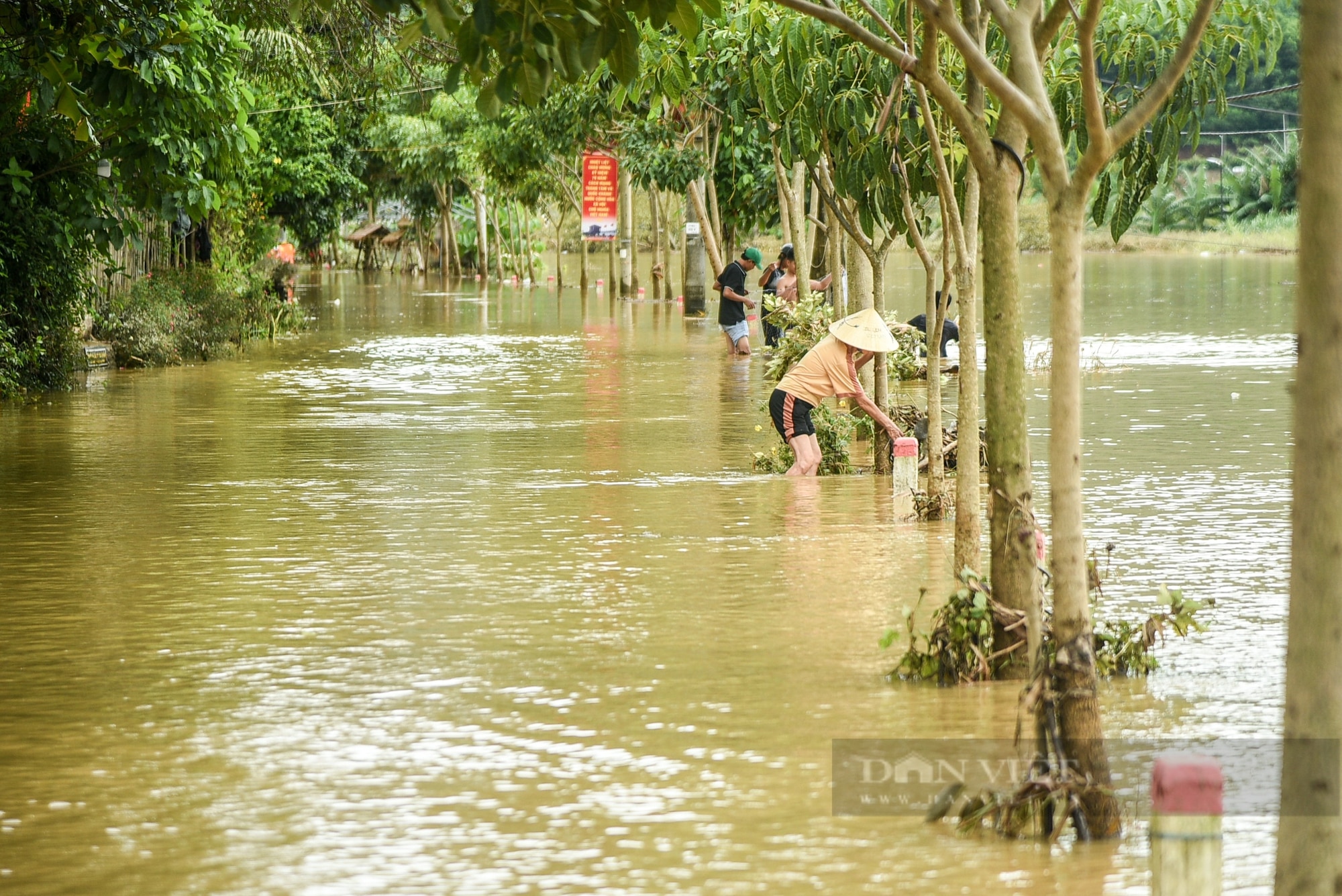 Đà Nẵng: Nước sông Cu Đê dâng cao, một thôn ở xã miền núi Hòa Bắc bị ngập nước- Ảnh 4.