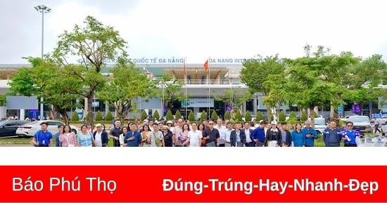 Recommend reputable Da Nang travel company in 2025