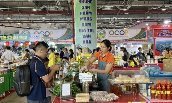 Feria OCOP de Quang Ninh - Primavera 2025