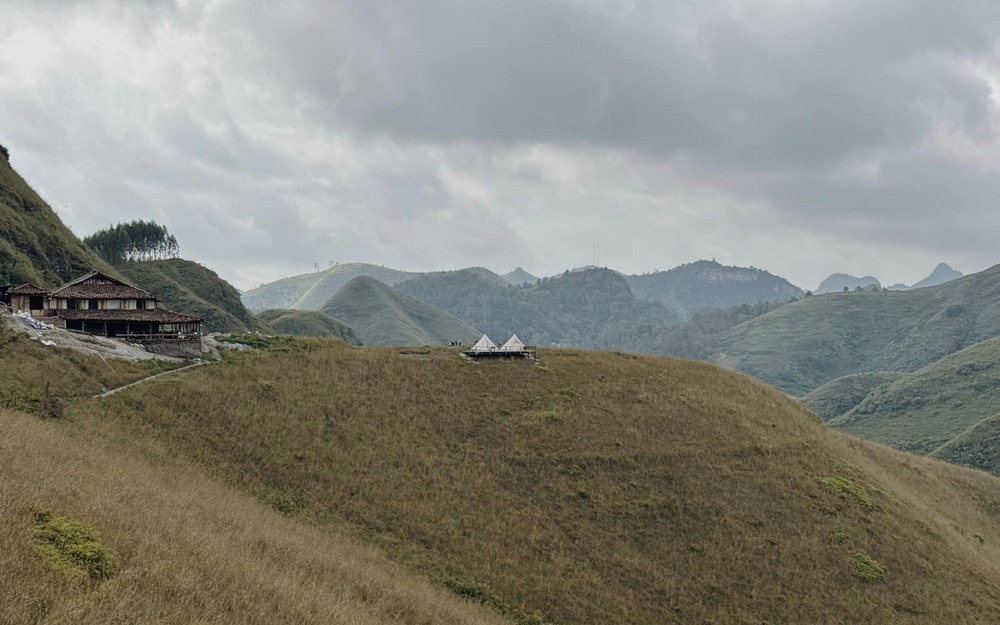 If the Phoenix burnt grass hill (Quang Ninh) has its own distinguishing feature of scattered green dwarf pine trees, the Ba Quang burnt grass hill is almost completely covered in a yellow-orange color among the rolling hills. Here, visitors can sightsee, take artistic photos or organize camping. Photo: NVCC