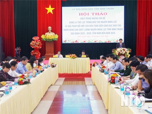 Taller sobre la mejora de la calidad de los recursos humanos en la provincia de Ninh Thuan para el período 2025-2030, con visión al año 2035