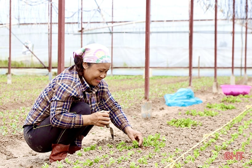 Luu Vinh Son flower village is busy during Tet season