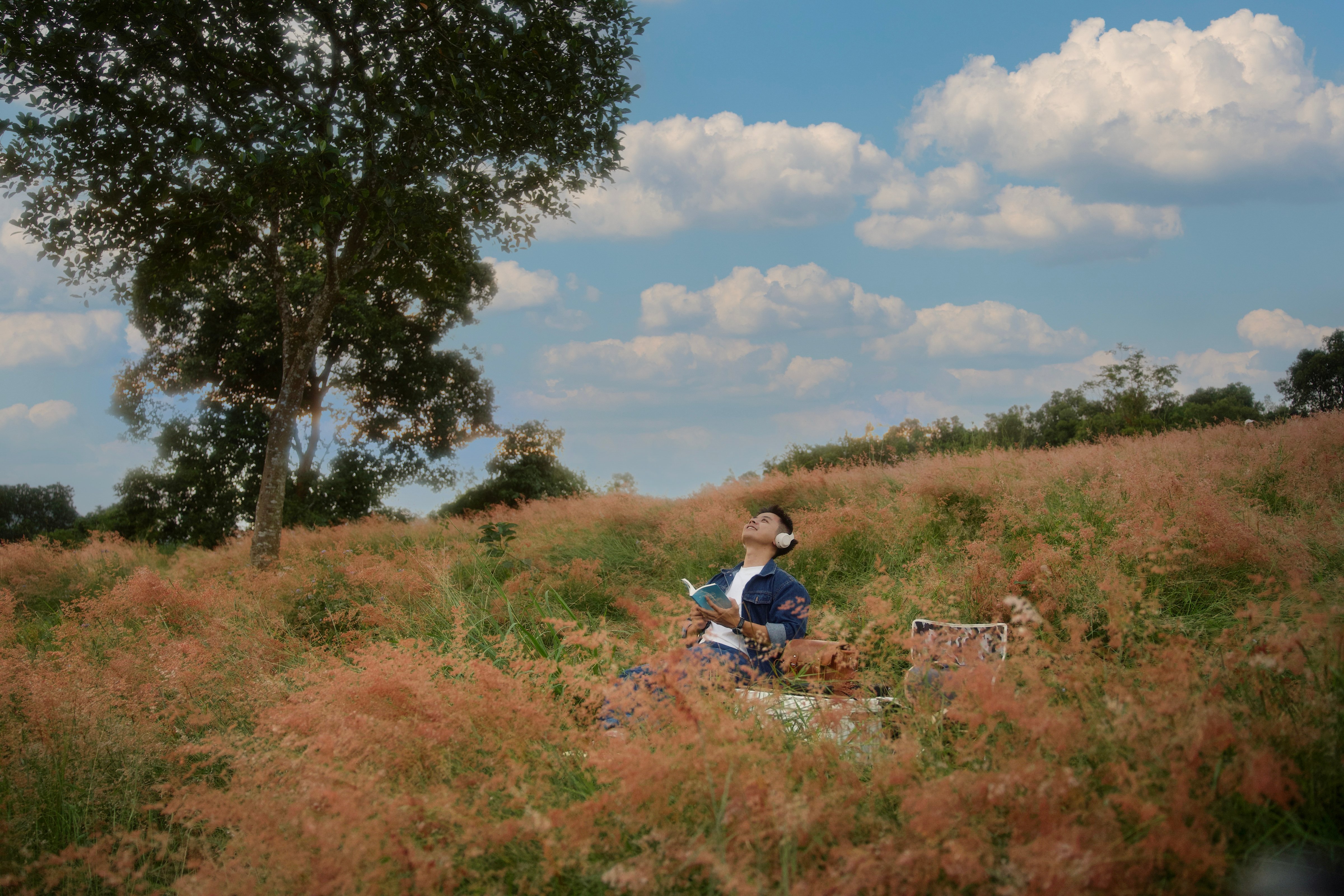 Cependant, lors de la visite de la colline d'herbe rose, les visiteurs peuvent apporter des accessoires de photographie compacts pour créer des photos d'enregistrement uniques.