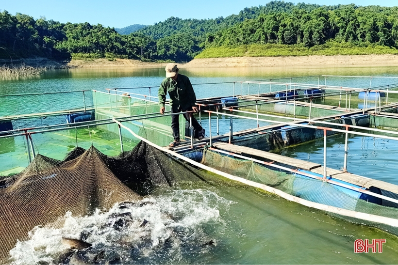 Стабилизируя производство пресной воды, Хатинь собирает более 9200 тонн водных продуктов