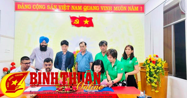 Cơ hội để thanh long Bình Thuận nâng tầm giá trị. Bài 1