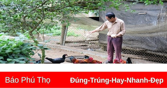 Yên Sơn nỗ lực thoát nghèo