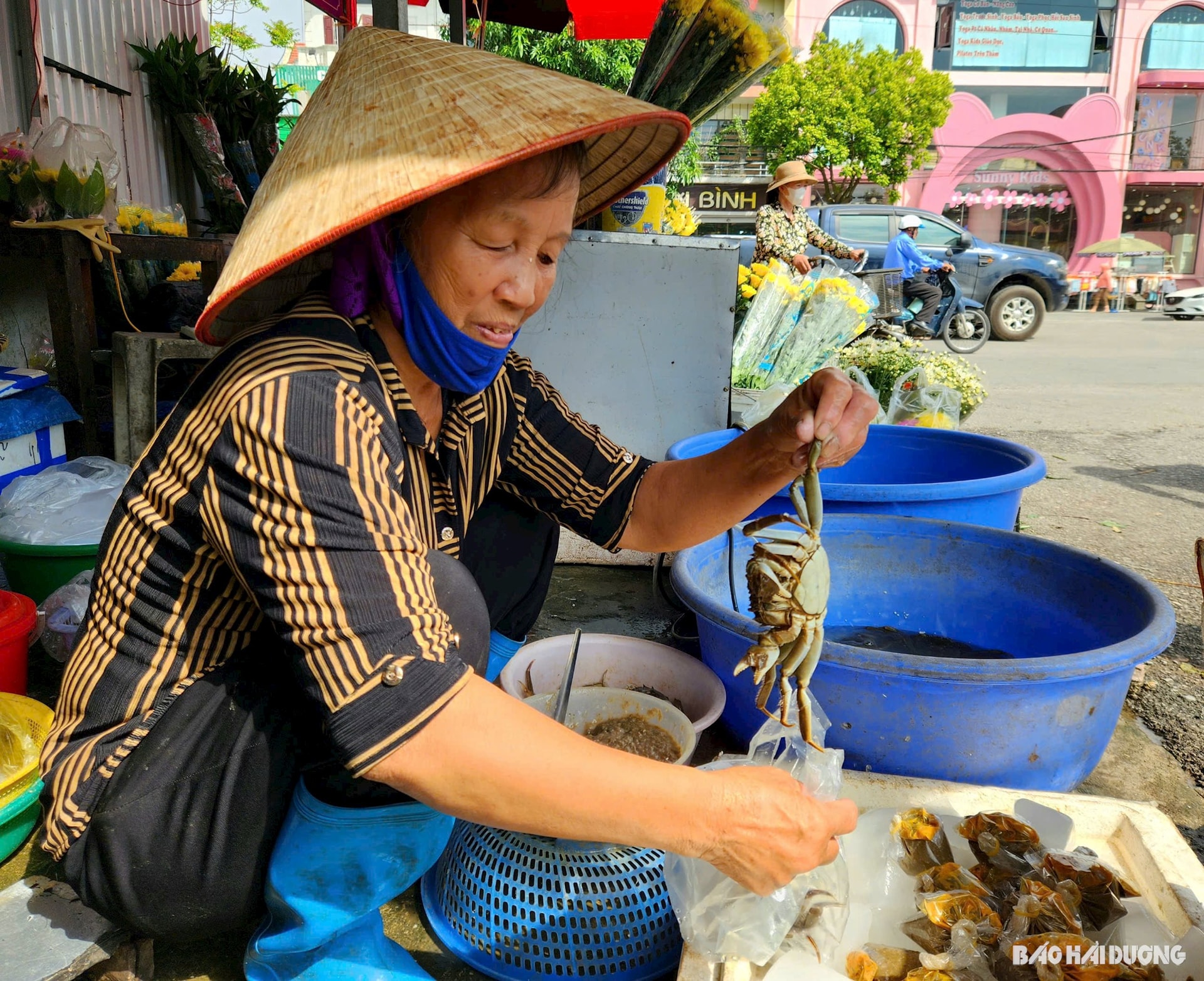 ជាងកន្លះលានដុងក្នុងមួយគីឡូក្រាមនៃ eggplant ធំ។