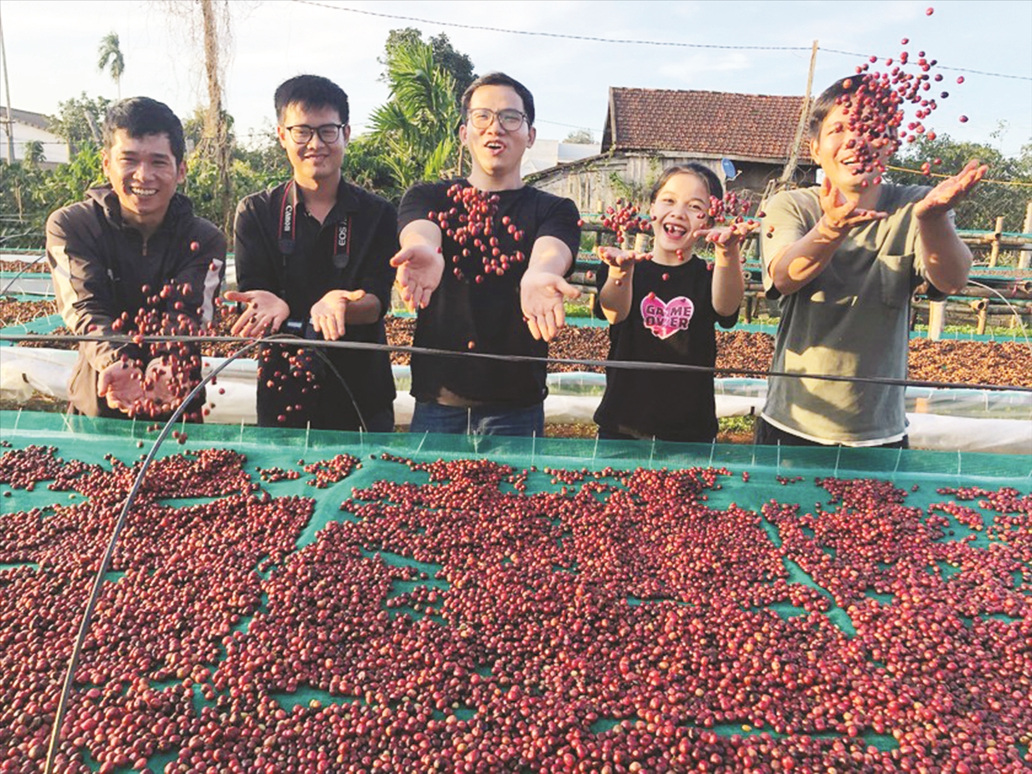 Cà phê được ví như “hạt ngọc” giúp nông dân Tây Nguyên phát triển bền vững.