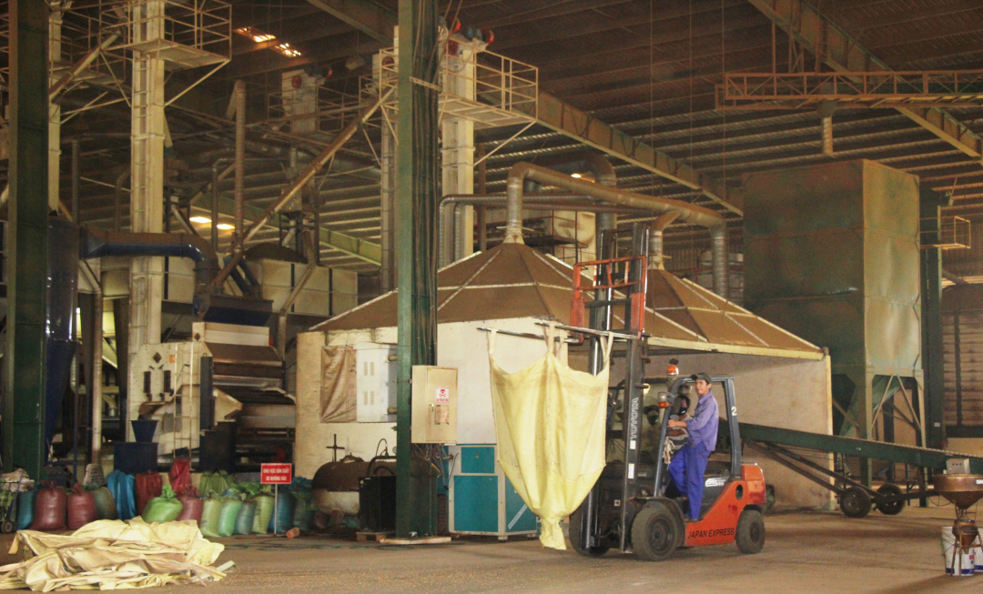 Un projet de transformation du café dans le parc industriel de Hoa Phu