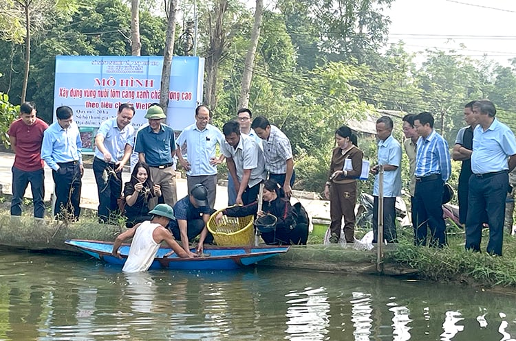 សង្ខេបគំរូនៃការសាងសង់កន្លែងចិញ្ចឹមបង្គាទឹកសាបខ្នាតយក្សគុណភាពខ្ពស់