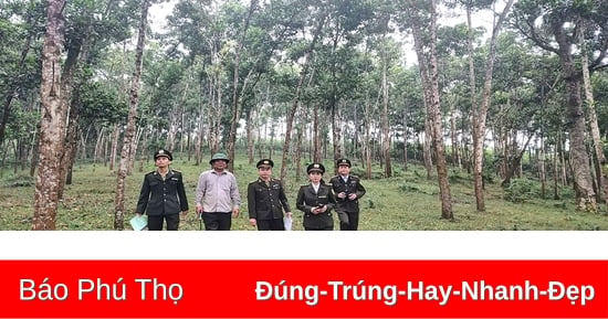 Kỳ I: Trợ lực kịp thời