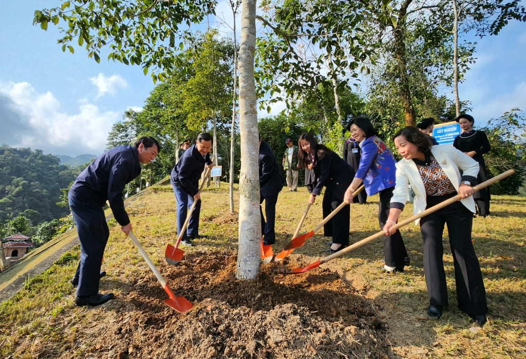 Vizepremierminister Le Minh Khai und Provinzführer pflanzten einen Gedenkbaum am Ho-Chi-Minh-Tempel.