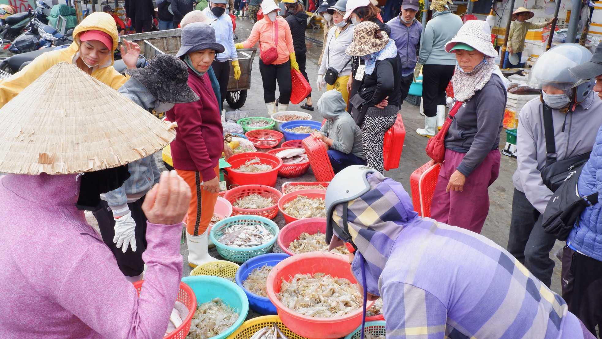 Cảng cá lớn nhất miền Trung nhộn nhịp những ngày sát Tết ảnh 6