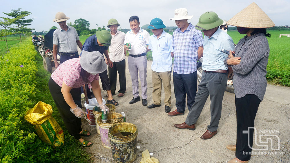 Les habitants de la commune d'Uc Ky (Phu Binh) diluent la solution d'engrais foliaire selon les instructions des agents de vulgarisation agricole pour la pulvériser sur les plantes.