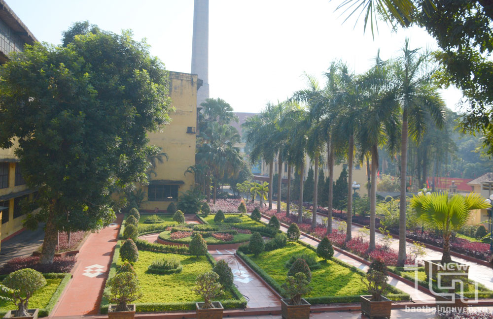 Green space at Luu Xa Steel Rolling Mill (Thai Nguyen Iron and Steel Joint Stock Company).