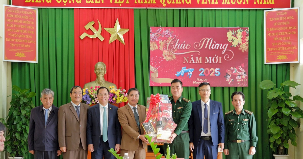 Standing Vice Chairman of the Provincial People's Committee Phan Thai Binh visited and extended New Year greetings in Nui Thanh district