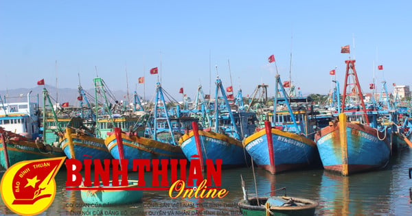 Resolutely implement the peak month of general inspection of fishing vessels in the whole province