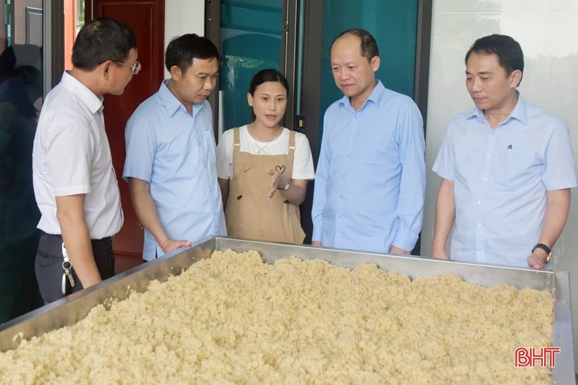 Chú trọng ứng dụng công nghệ cao trong sản xuất nông nghiệp, nâng tầm sản phẩm OCOP