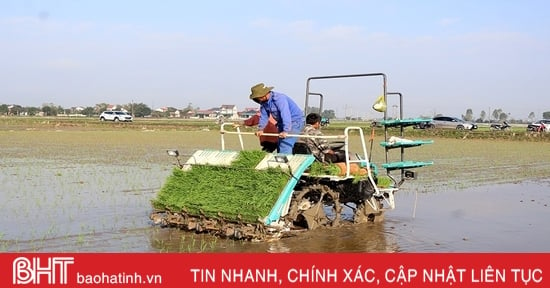 “Hạt giống” nông nghiệp sạch nảy mầm trên đồng đất Can Lộc