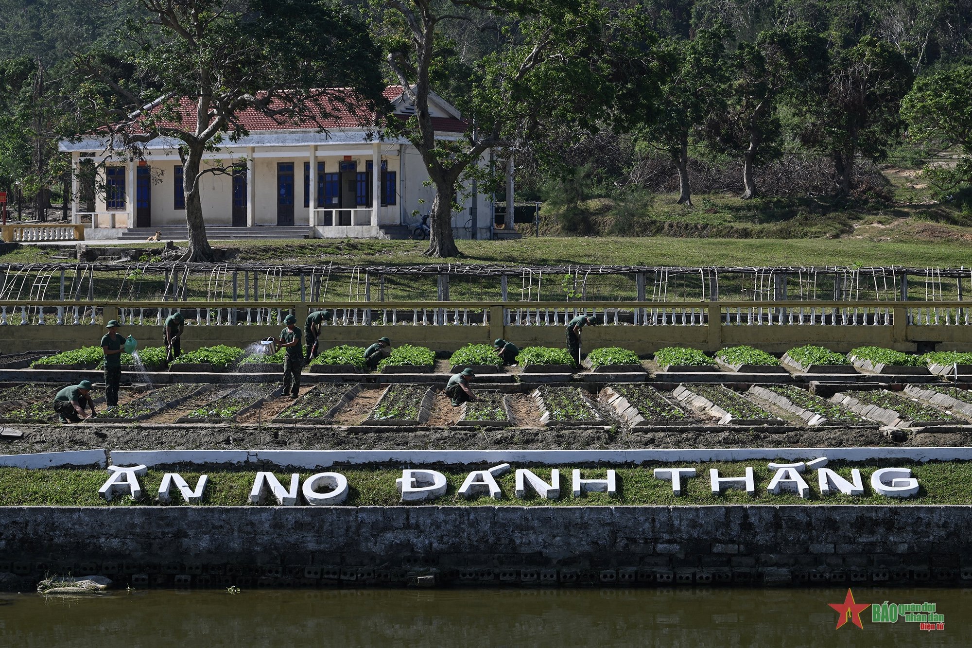 Sao vàng lấp lánh trên biển xanh