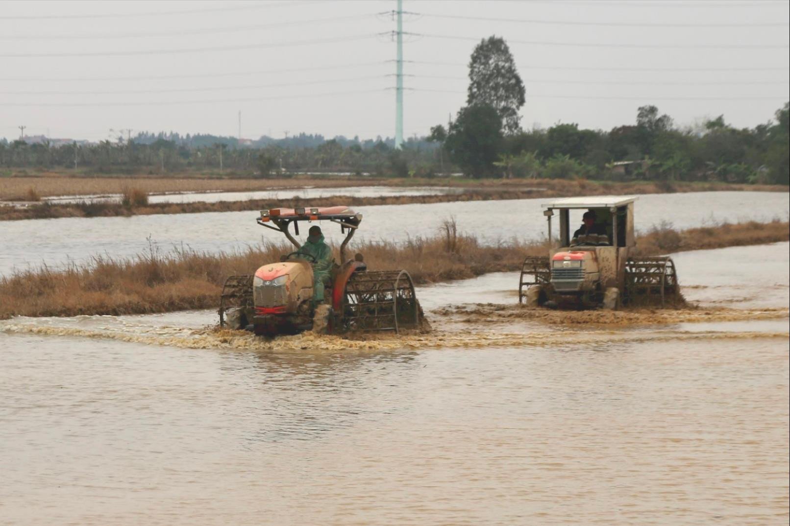 Les orages fournissent de l'eau pour la production agricole à Hai Duong