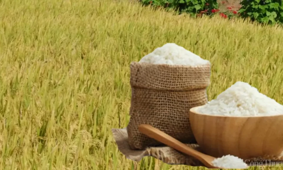 Creación de una marca nacional para el arroz vietnamita: se necesita la cooperación de tres fabricantes