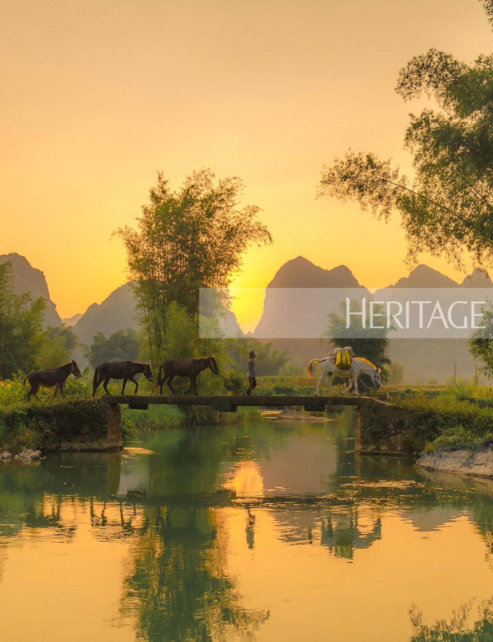 Không có mô tả ảnh.