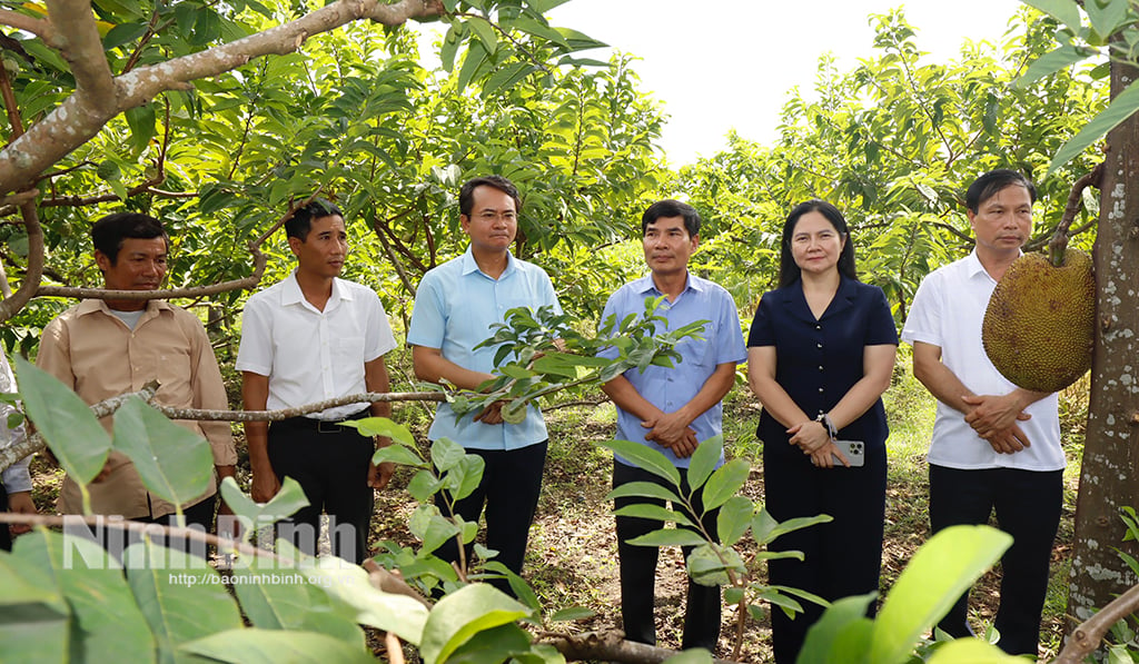 Khảo sát một số mô hình Dân vận khéo trên địa bàn huyện Hoa Lư Gia Viễn Nho Quan