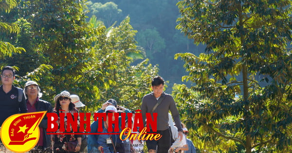 Binh Thuan untersucht aktuelle Ökotourismus-Spots