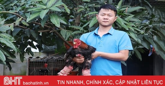 Nông dân Hà Tĩnh chăm con nuôi đặc sản bán tết