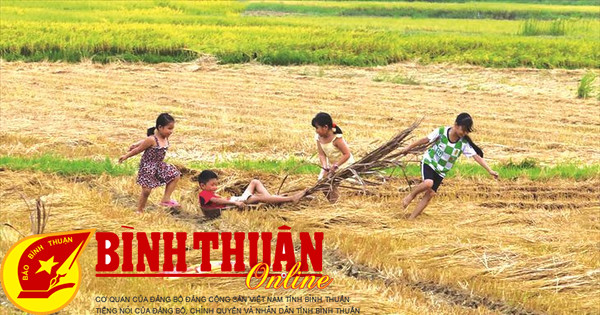 Mảnh vườn thương nhớ