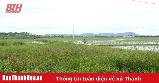 Solving the problem of abandoned fields