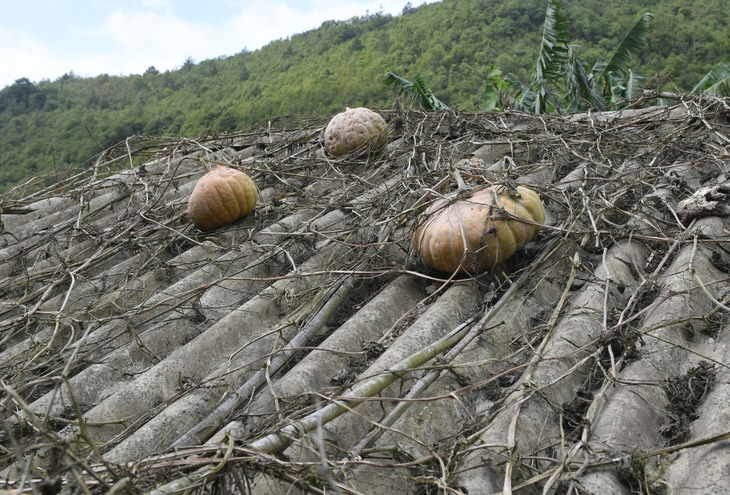 Auch außerhalb der Saison macht es Spaß, nach Mu Cang Chai zu fahren – Foto 10.