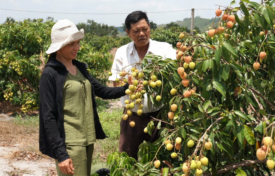 Nỗ lực vượt khó xây dựng nông thôn mới