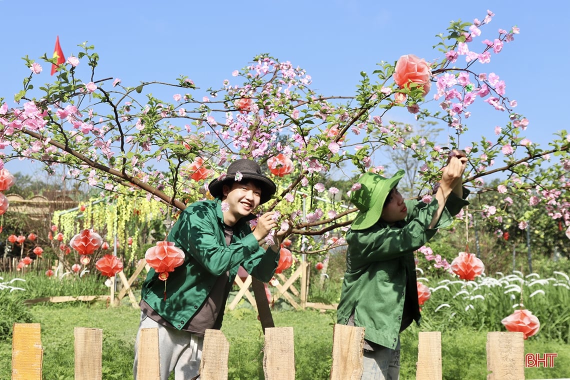 Trải nghiệm vườn táo hữu cơ trĩu quả ở Hà Tĩnh