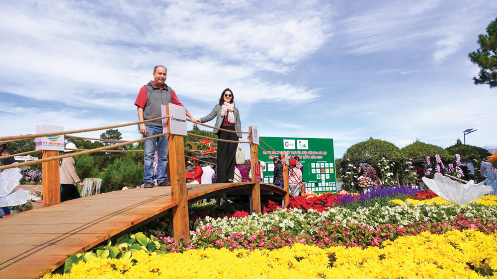 冬のダラットは色とりどりの花でいっぱいです。