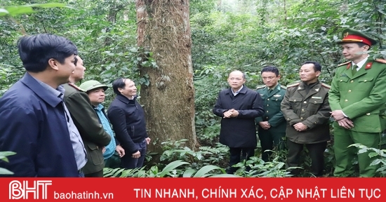 산림보호법 위반 시 엄격히 처리합니다.