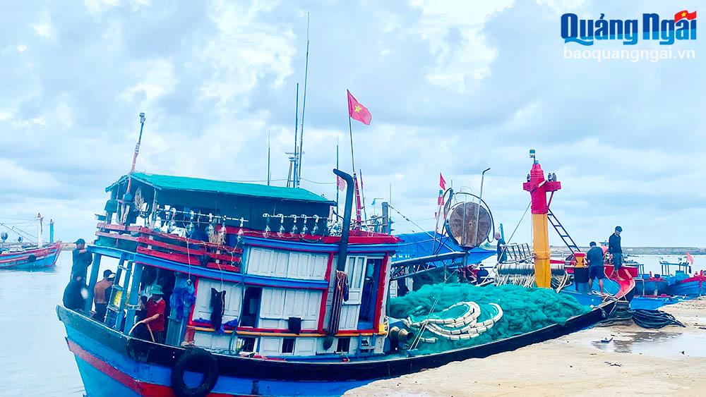 Los barcos de pesca con cerco de los pescadores de Ly Son se preparan para salir a alta mar para pescar mariscos.