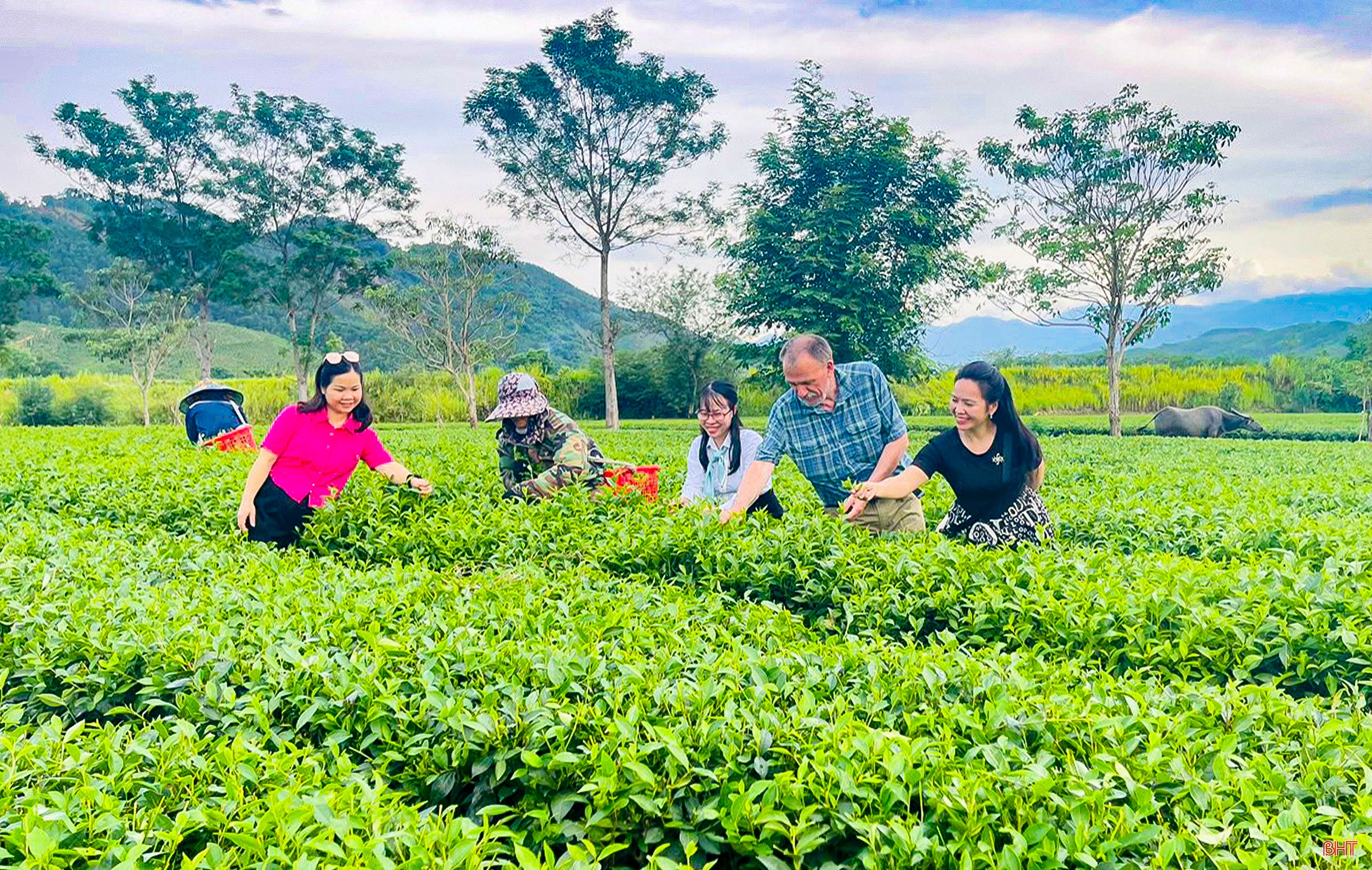 Building new rural areas in Ha Tinh: Going into depth, effectively and sustainably (part 2): Developing rural economy towards modernization and integration