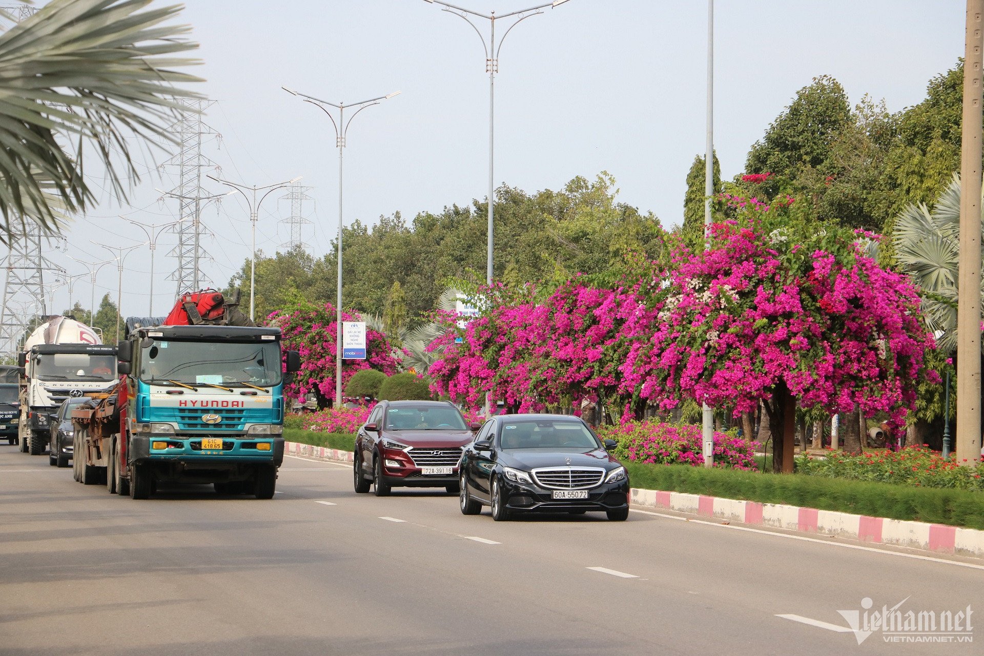 W-con-duong-hoa-giay-vung-tau-8-1.jpg